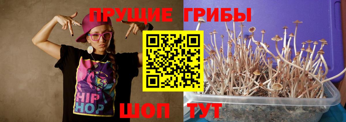 Галлюциногенные грибы GOLDEN TEACHER Зерноград